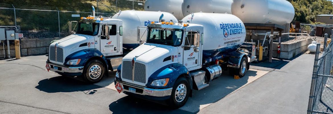 Dependable Energy Inc