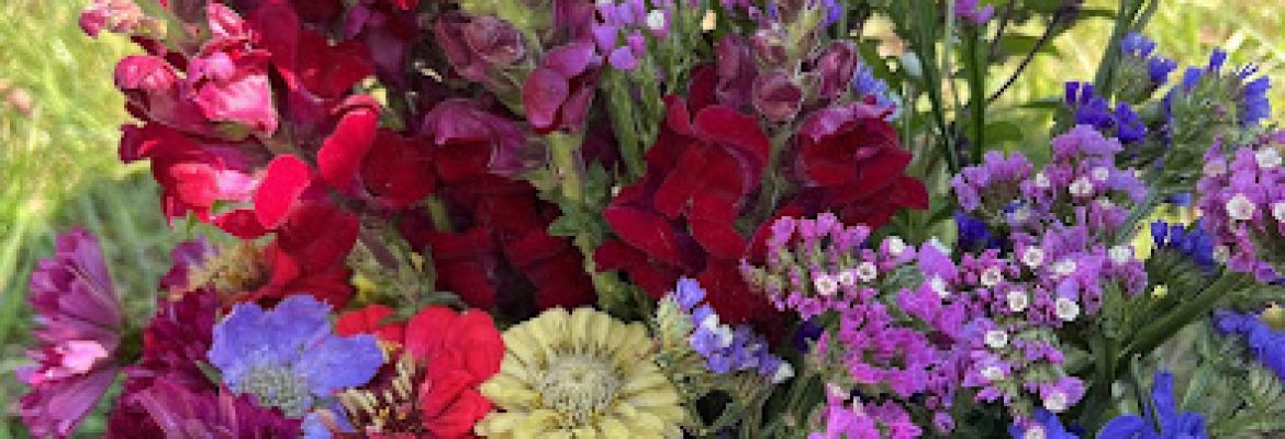 Sharing Joy Flower Farm