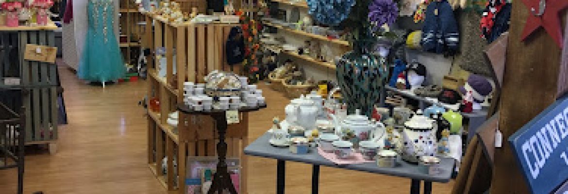 TM Shenanigans Thrift & Gift