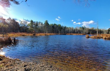 Pachaug State Forest Parking