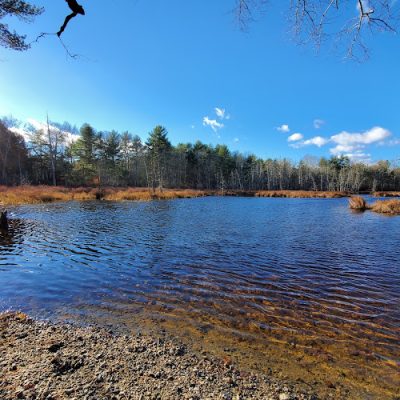 Pachaug State Forest Parking