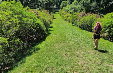 Connecticut College Arboretum