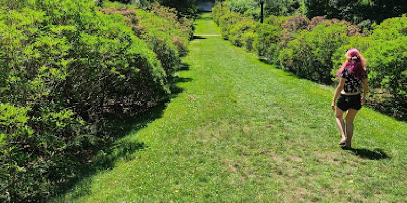 Connecticut College Arboretum
