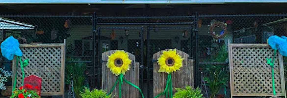 Floral & Gifts of OWC