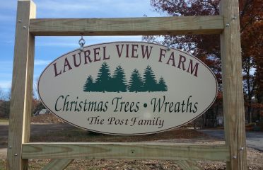 Neighbors Tree Farm