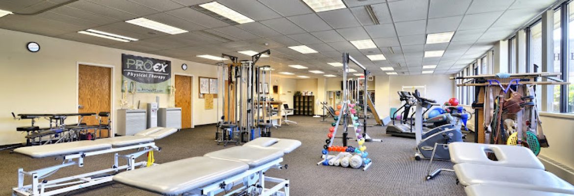 Professional Physical Therapy