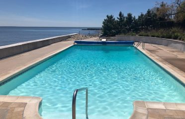 Dolphinpoolcleaning