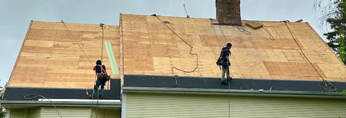 T6 Homes: Roofing and Construction