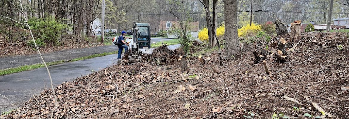 Bob’s Tree Service