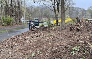 Bob’s Tree Service