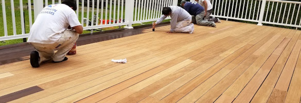 Tom Saint Painting & Remodeling LLC