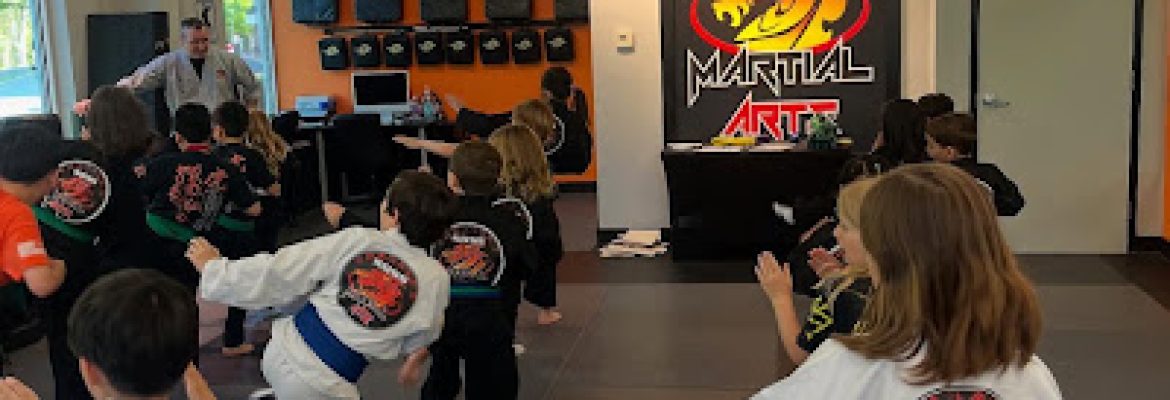 SDSS Martial Arts of Wilton