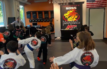 SDSS Martial Arts of Wilton