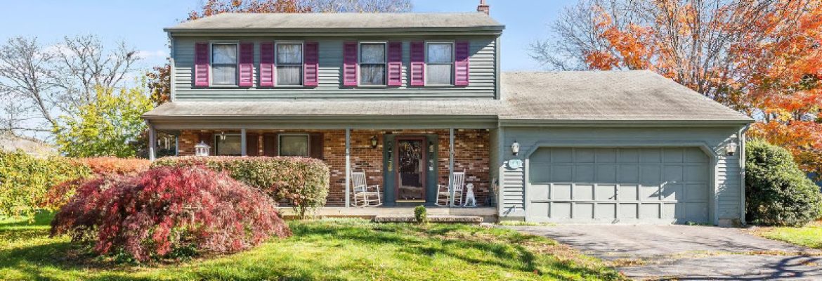 Michael Bachmann, REALTOR