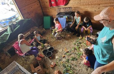 Fox Field Farm