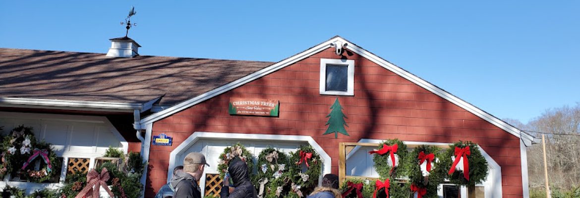 Yetter Road Christmas Tree Farm