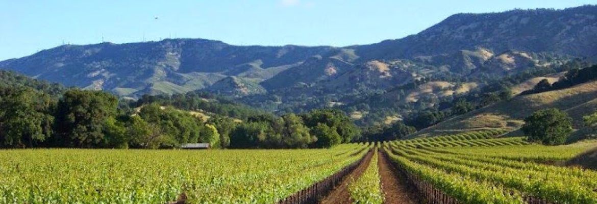 Musto Wine Grape Company, LLC