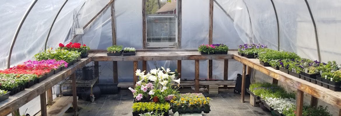 Gray House Farms Garden Center
