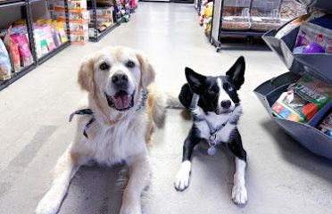 Dogology Canton- Adoption Shop