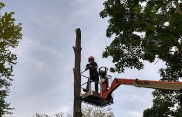 KNP Tree Removal LLC