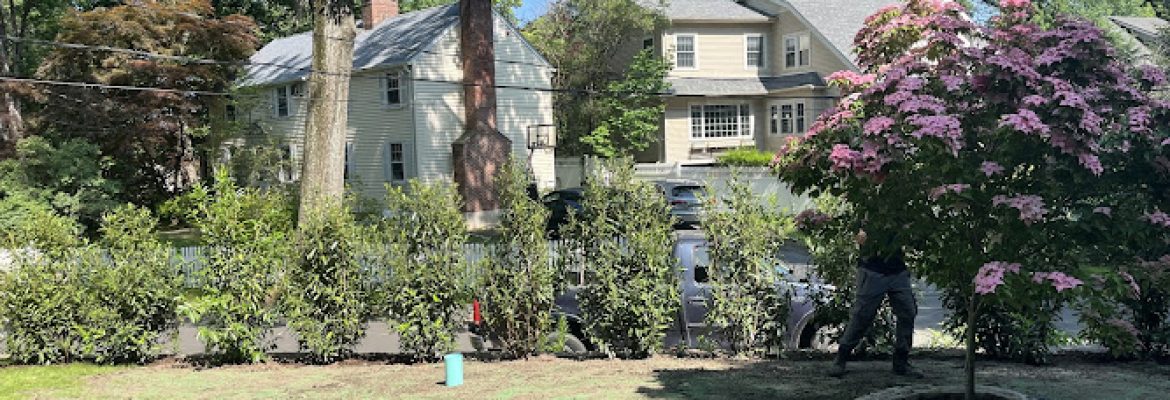 O’Dell Landscape Services LLC