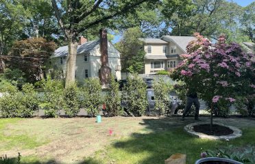 O’Dell Landscape Services LLC