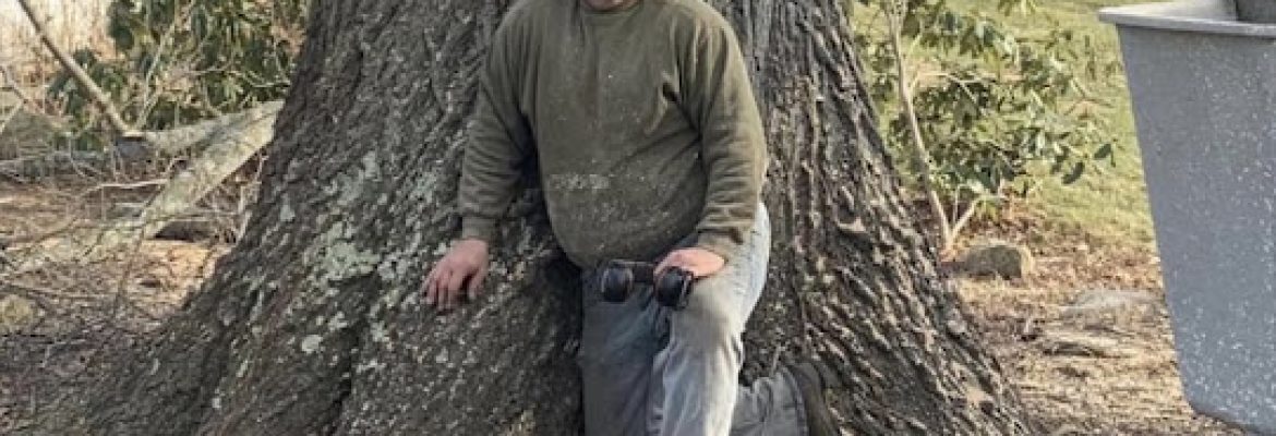 Louie’s Tree Services LLC