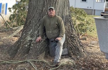 Louie’s Tree Services LLC
