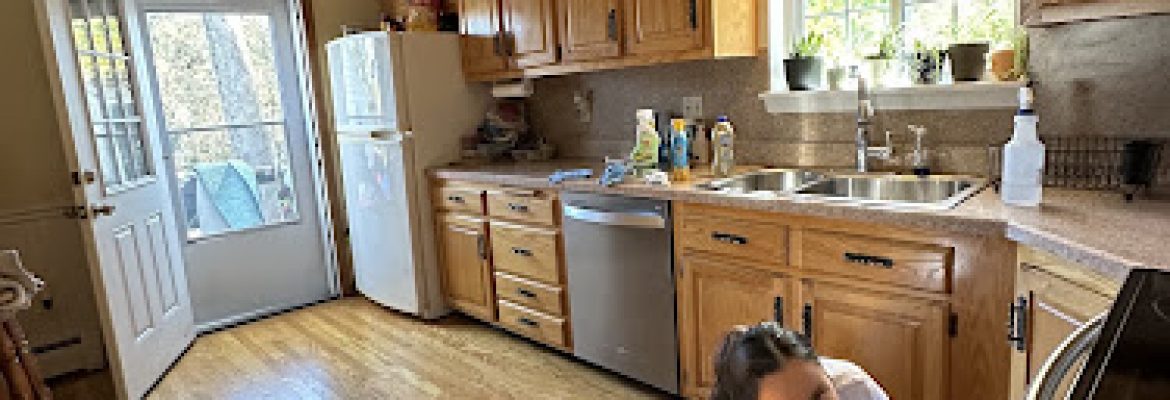 Cleaning Services Brillancemax