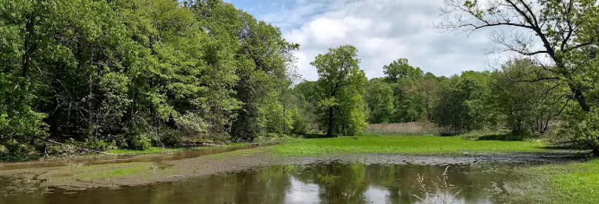 Gorman Park