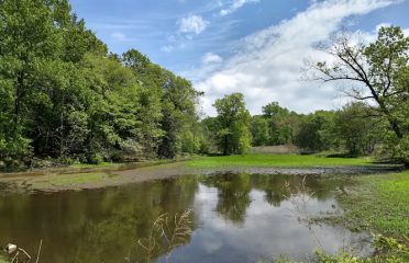 Gorman Park