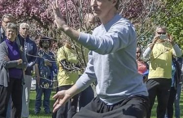 Earth and Wood Martial Arts