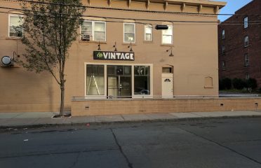 Venom Vintage