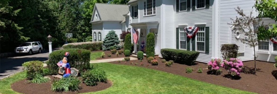 Illescas Lawn Maintenance LLC