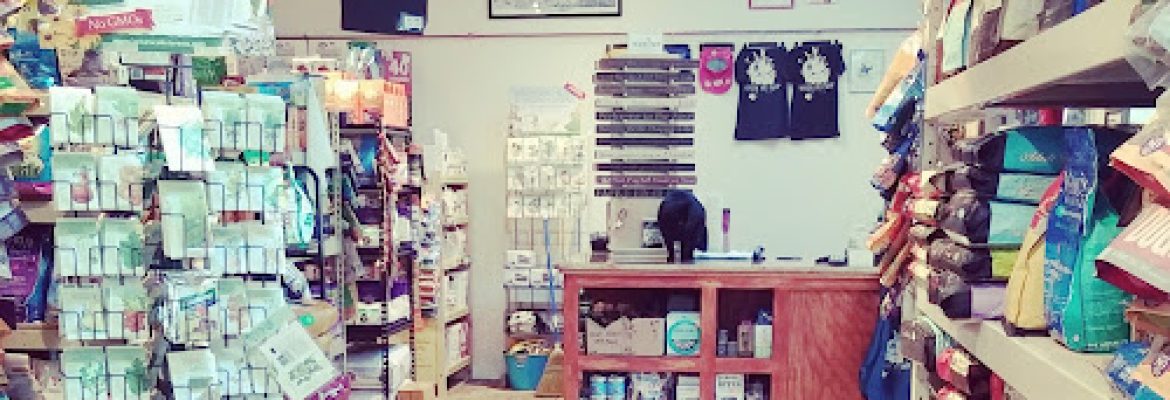 Mystic Pet Shop