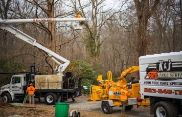 K&J Tree Service