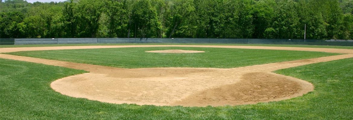 Premier Turf