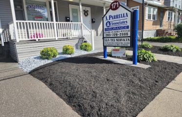 A Parrella & Associates Insurance