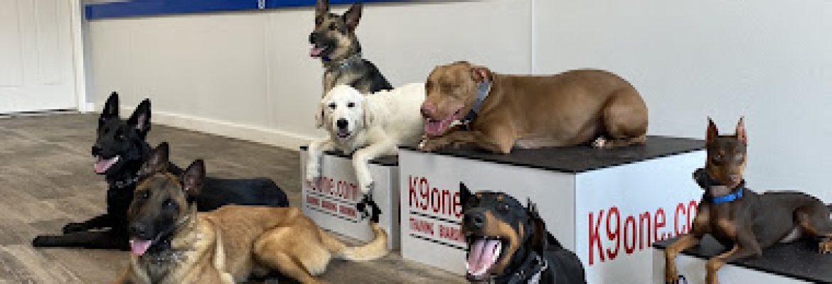 K9one LLC @ Stonehill Kennel