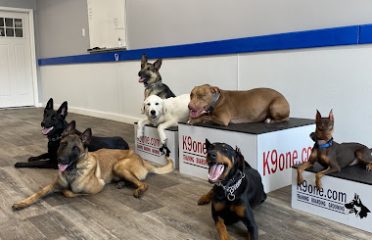 K9one LLC @ Stonehill Kennel