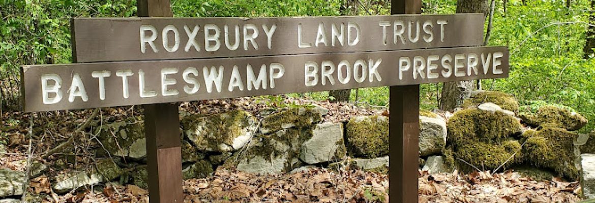 Battle Swamp Brook Preserve