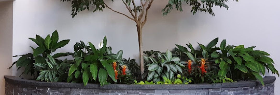 Plants A La Carte