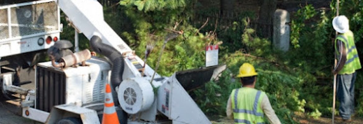 Erick’s Tree Services