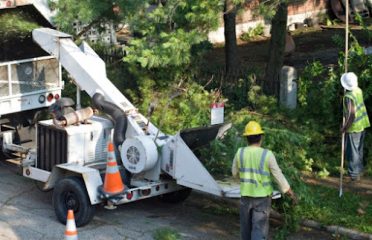 Erick’s Tree Services