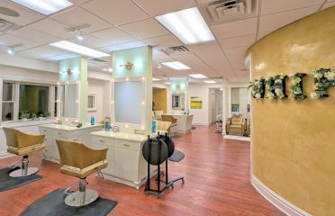 Whip Salon Wilton