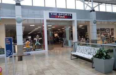 The Sports Fan