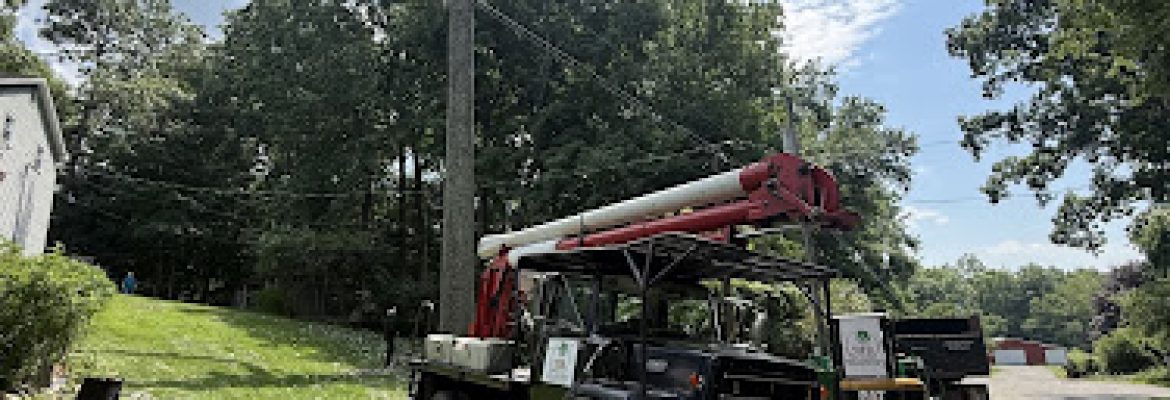 Y&B Landscaping Tree Services LLC