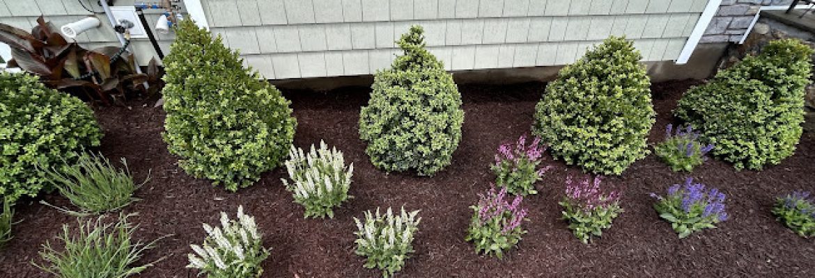 North End Landscaping Service