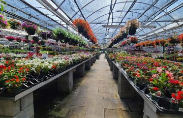 Town & Country Farm & Garden