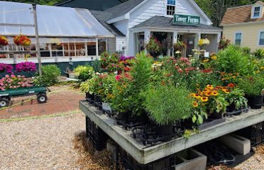 Tower Farms of Canton